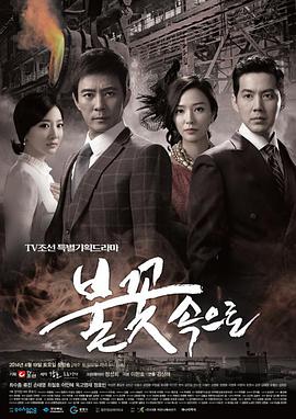 雅安seo全网优化公司